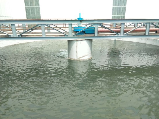 污水?dāng)嚢璎F(xiàn)場